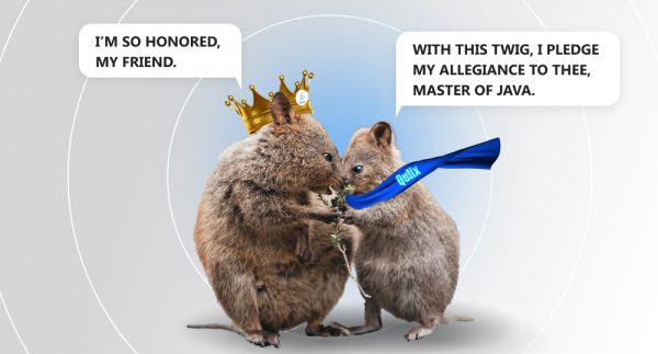 There are two quokkas: one is in crown with Java logo on it, another has scarf with Qulix logo on it.