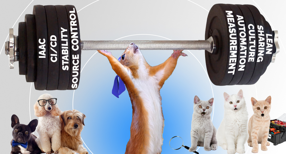 squirrel lift barbell with devops components written on it while cats and dogs sit excited 