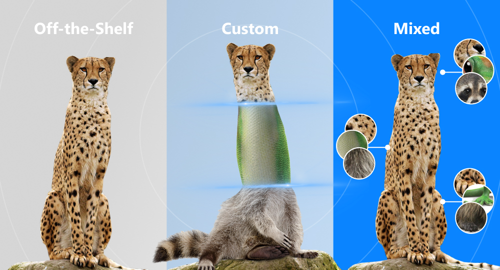 Three cheetahs sitting on rocks, illustrating different PWA solutions: off-the-shelf, custom, and mixed