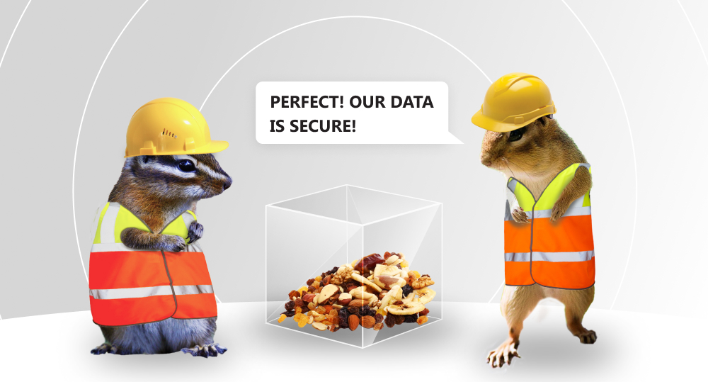 a blockchain cube filled with nuts and two chipmunks dressed in construction vets and hardhats. one says "perfect! our data is secure!"