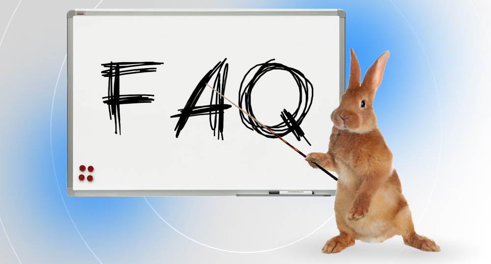 rabbit using a pointer stick to show a whiteboard that says "FAQ"