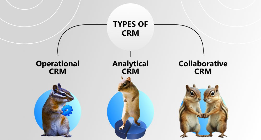 "types of crm" at the top with three lines pointing to "operational crm", "analytical crm" and "collaborative crm". under operational is a chipmunk holding a gear. under analytical is a chipmunk standing on top of a 3D pie chart. under collaborative is two chipmunk holding a nut together.