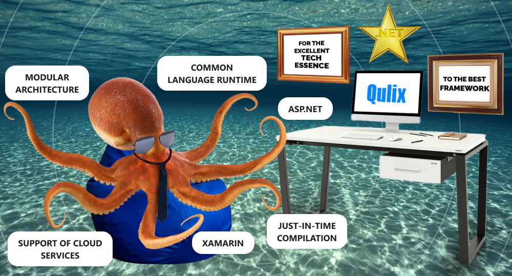 Octopus lists technical characteristics of .NET.