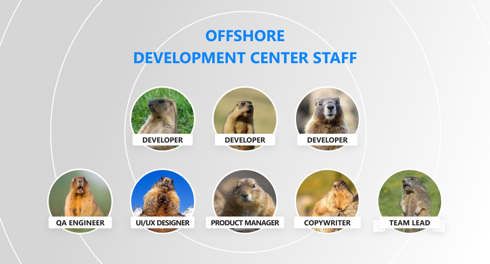 Infographics of typical employees of offshore development center