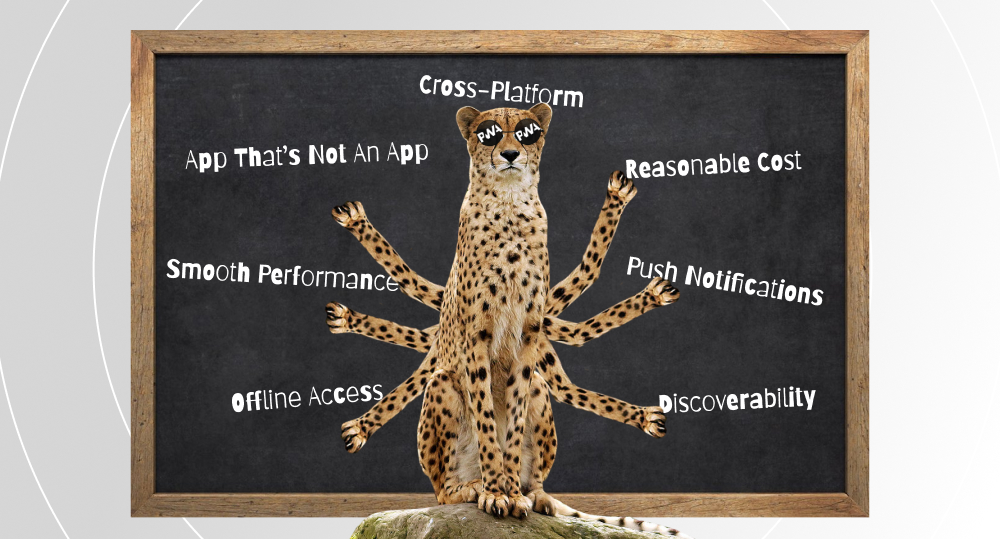 Cheetah sitting on rock near blackboard, six paws pointing to PWA benefits