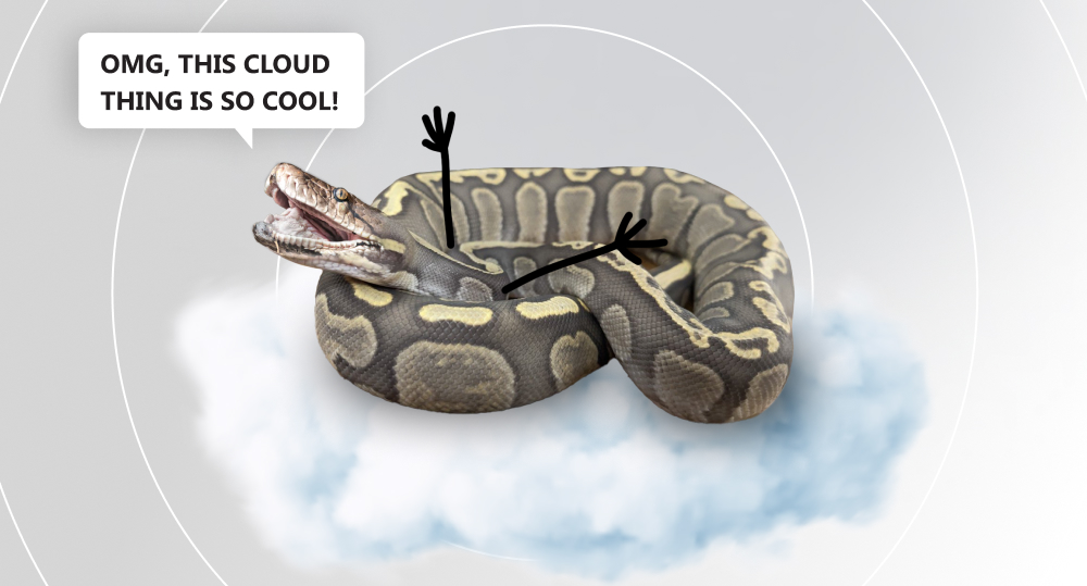 python lie on cloud excited by cloud solutions