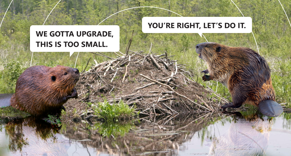 two beavers beside a small dam. one says "We gotta upgrade, this is too small" and the other replies "You're right, let's do it"