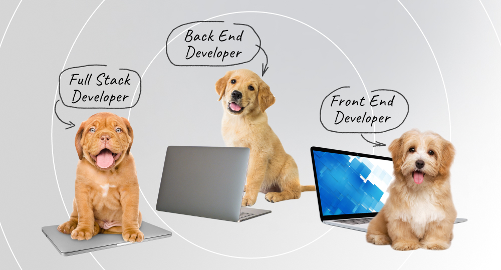 three puppies with laptops. one puppy is sitting on a closed laptop labelled as "full stack developer". second puppy is behind open laptop labelled "back end developer". third puppy is in front of open laptop labelled "front end developer"