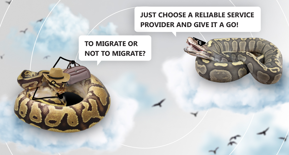 two pythons discuss legacy migration to cloud