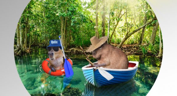 capybara in lifebuoy swim to another capybara sitting in boat with broken oar to rescue it and reveal react js security vulnerabilities