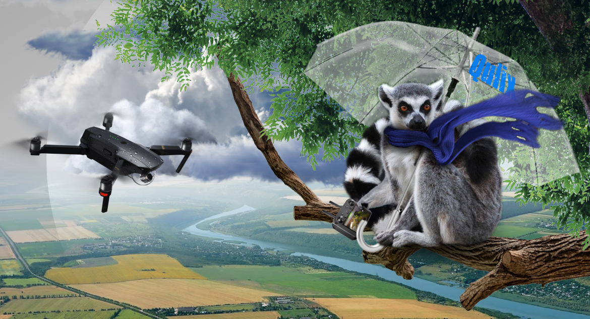 Lemur sits on branch with drone remote control in its paws and is excited about drone software development.