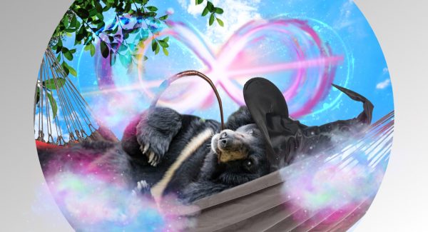 A bear with a magic wand is chilling because a DevOps transformation journey that he has conjured is going well.