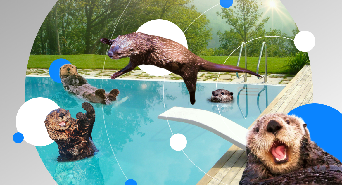 otters diving and swimming into a pool being having they have devops outsourcing