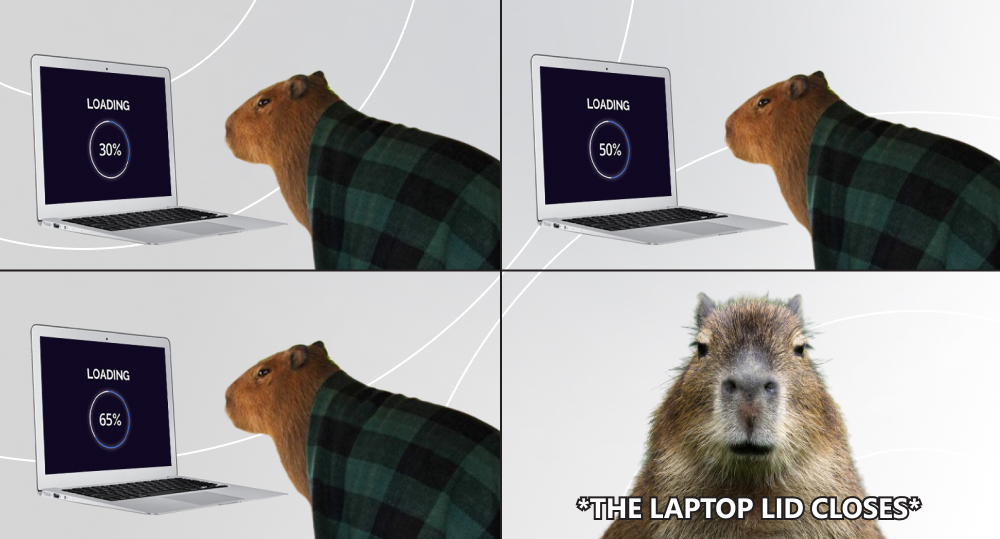 capybara look at back-and-forth website loading pattern