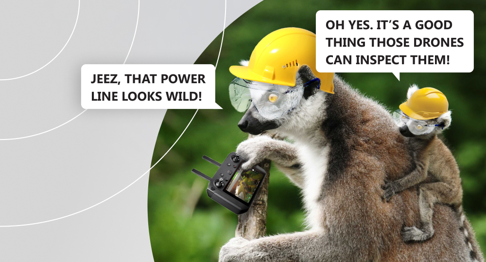 Lemurs are wearing construction helmets and reflective vests and talking about power lines inspection.