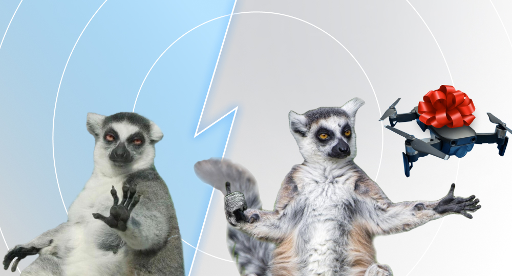 Lemur is excited to start using drone.