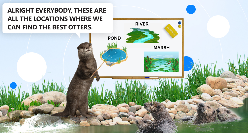 otter pointing to white board that depicts a river, pond, and marsh. otter says "alright everybody, these are all the locations where we can find the best otters."