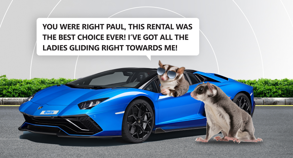 one sugar glider in a lamborghini says to one standing beside the car, “You were right Paul, this rental was the best choice ever! I’ve got all the ladies gilding right towards me!”
