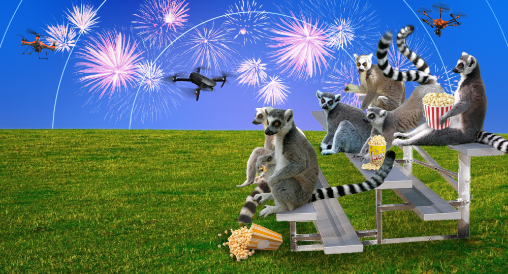 Lemurs sit on football stands and watch drones fly.