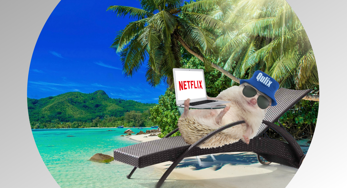 hedgehog in blue panama hat sit in deck chair on sea beach with lap top watch netflix and enjoy custom saas development