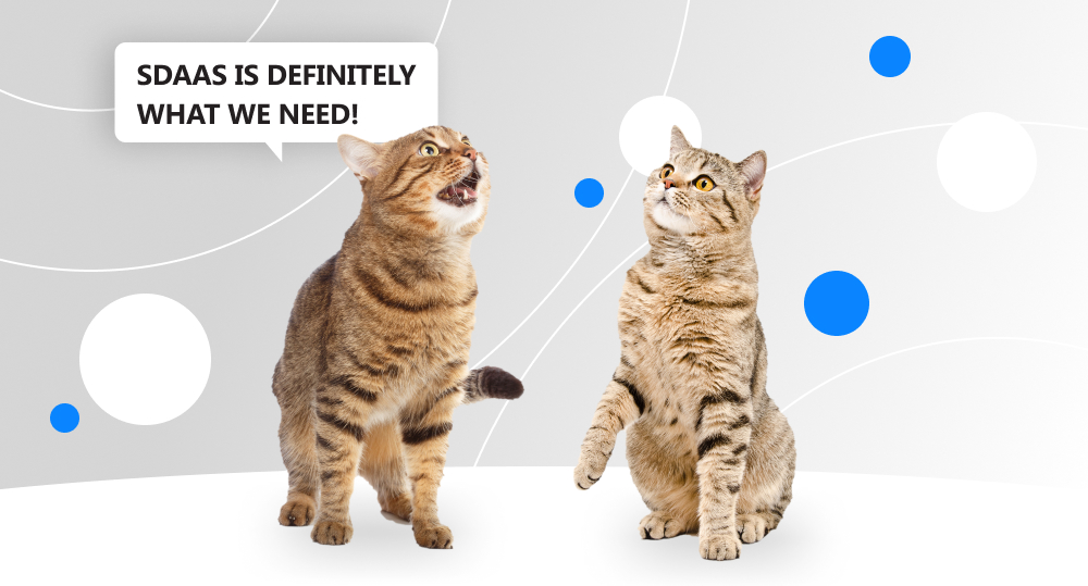 Two cats are discussing whether they should order software development using a new model SDaaS.
