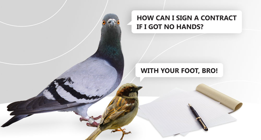 Pigeon not knowing how to sign a contract