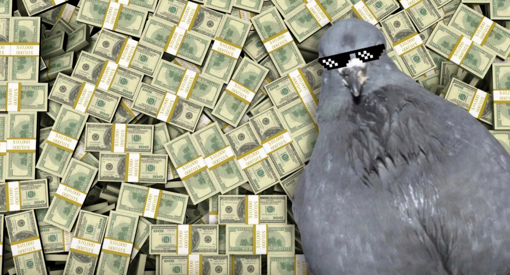 pigeon lying on a pile of money