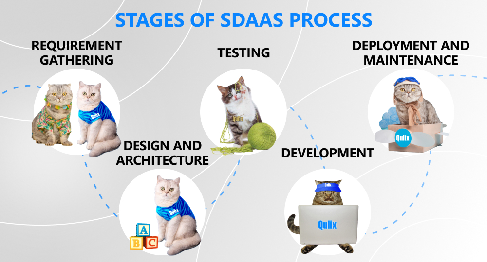 Cats represent steps of the SDaaS process.