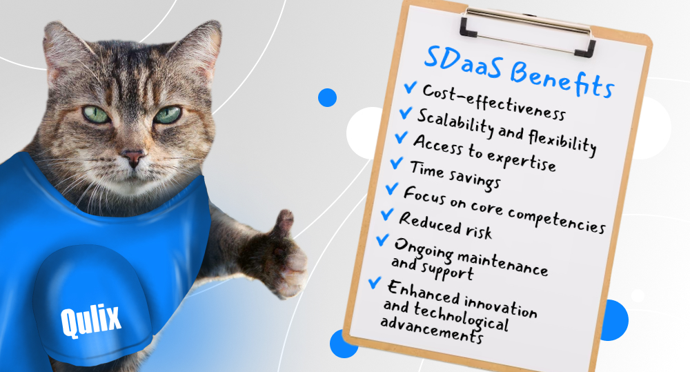 A cat shows all advantages of a new business approach - Software Development as a Service (SDaaS).