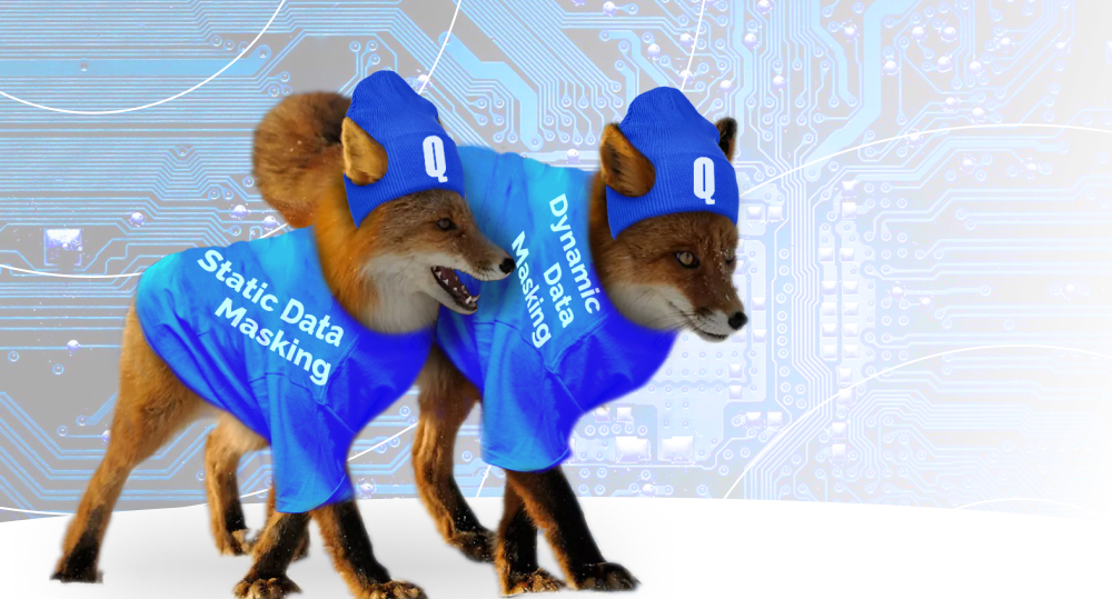 Two foxes represent SQL Server data masking types with help of T-shirts and beanies.
