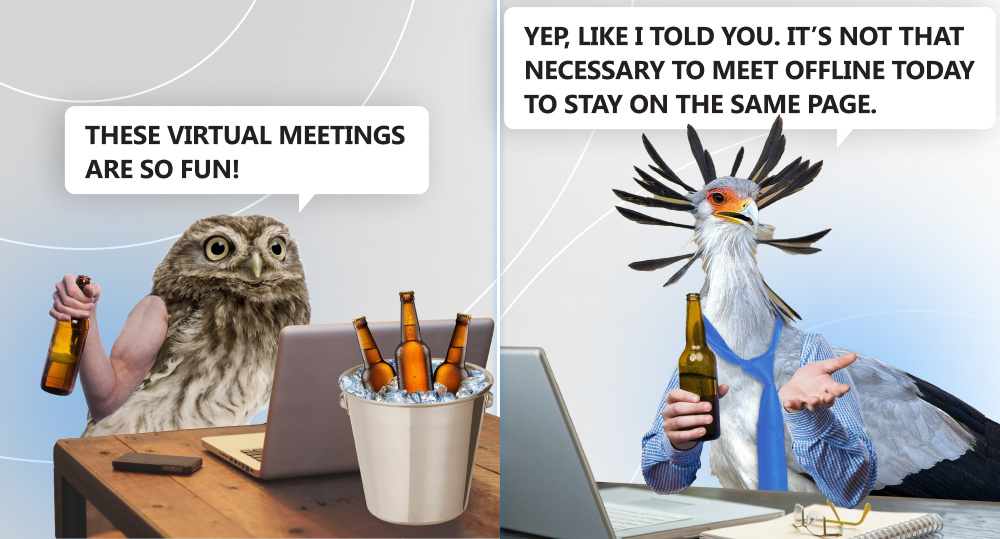 owl with bottle of beer sit in front of laptop and has online beer meeting via zoom call with secretary bird in blue cravat