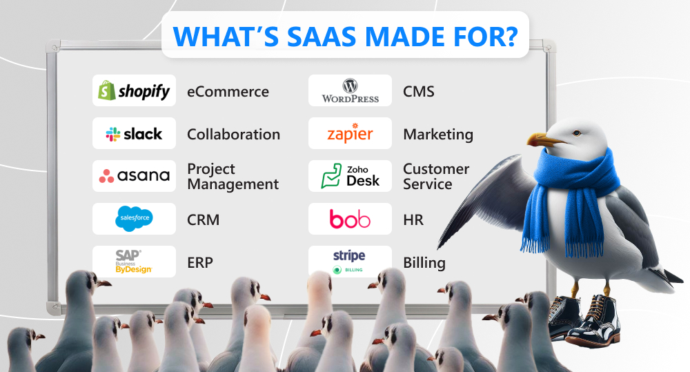 Infographics of major saas use cases with seagull explaining them to students