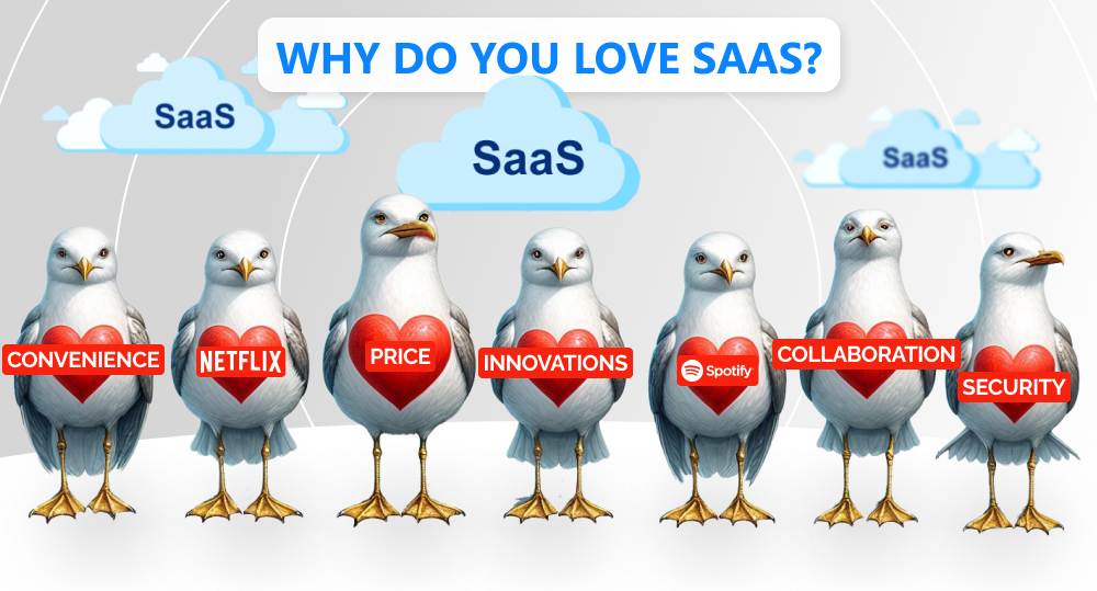 Infographics of reasons users love saas with seagulls with hearts