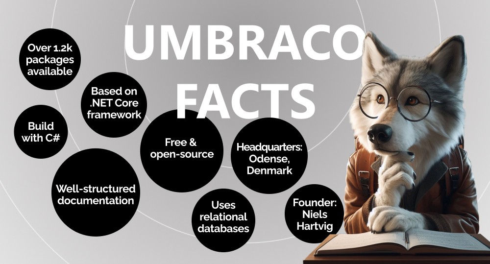 infographics on umbraco cms