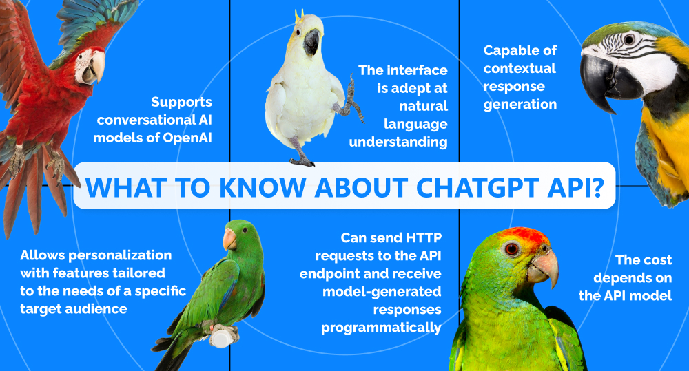 Infographics with parrots dedicated to key facts about ChatGPT API.