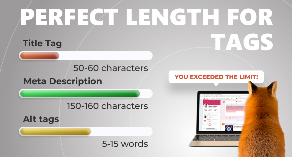 Infographics of perfect length for tags with fox staring at laptop screen where it exceeded the limit of characters allowed