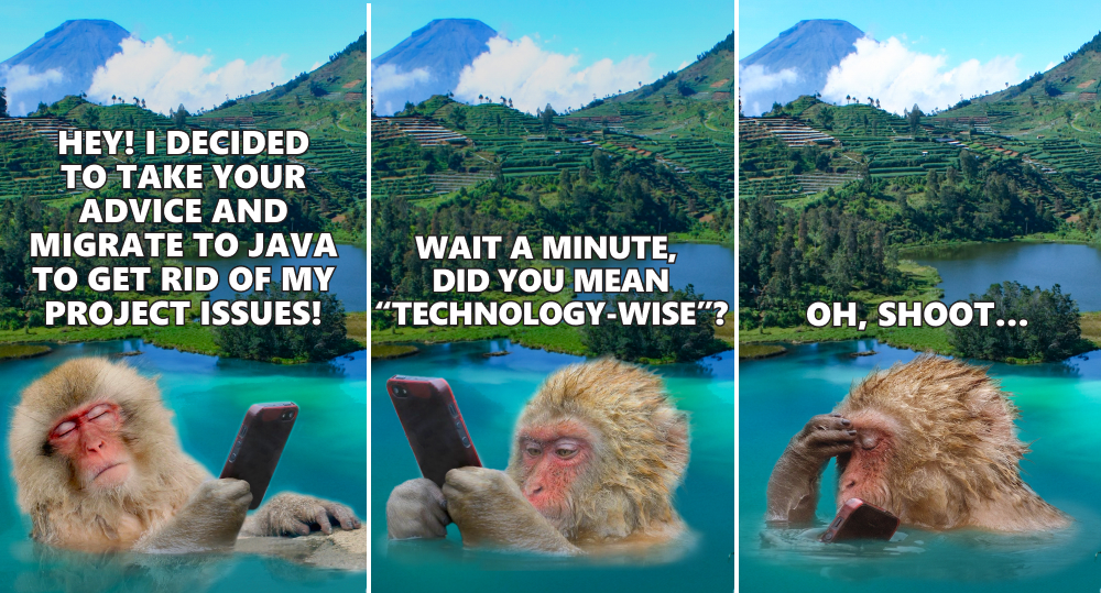 monkey swim in lake surrounded by mountains and talk on phone about java migration